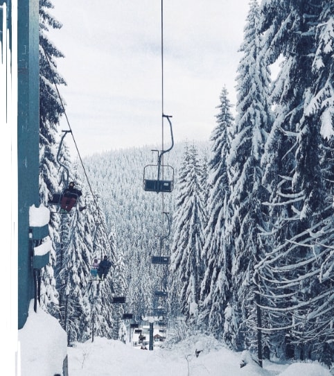 Ski lift in winter with coniferous trees to either side
